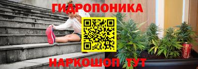 ешки Ставрополь
