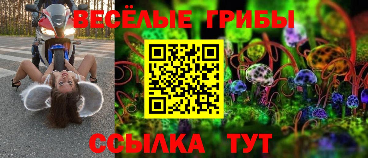 Псилоцибиновые грибы Cubensis  Вход с VPN  Алексеевка 