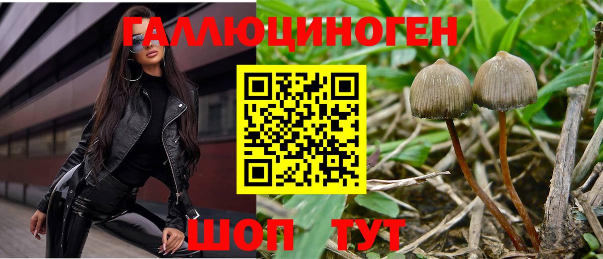 Галлюциногенные грибы прущие грибы Алексеевка
